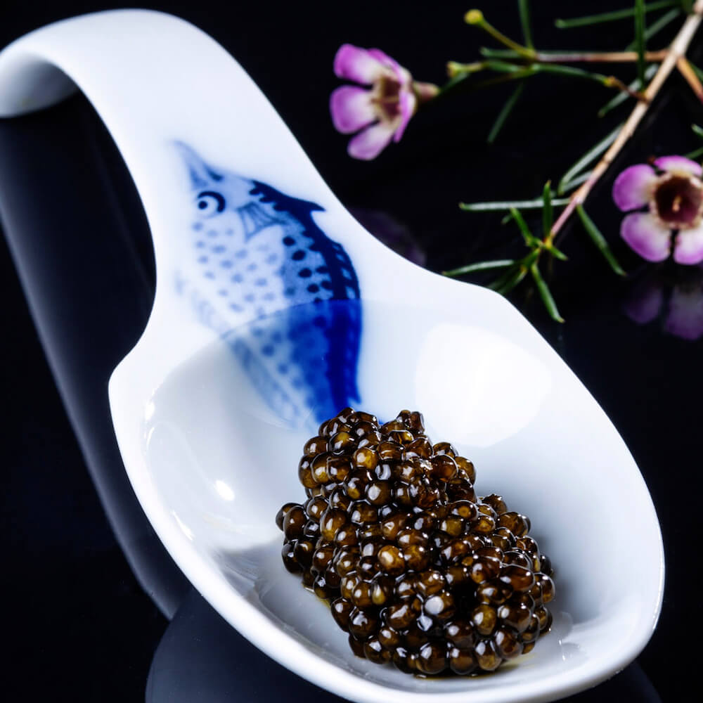 Steurkaviaar KALUGA, 100g